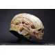 Alien Resurrection Replica 1/1 Alien Newborn Head 51 cm